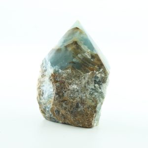 Angeliet Punt 900 tot 1000 gram