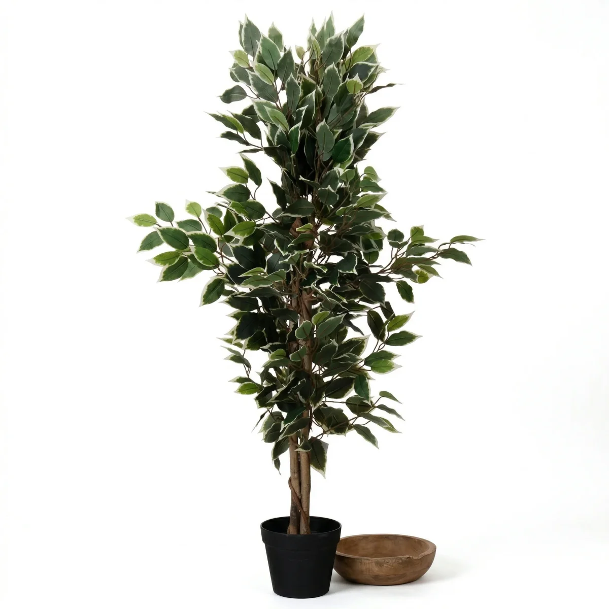 Cheqo® Kunstplant Ficus - Ficus Benjamina - Nepplant - Kunstboom - Treurvijg - Nep Ficus - Kunst Ficus - Kunstficusboom - voor Binnen - Sfeerplant - Decoratie - voor Woonkamer - Kantoorplant