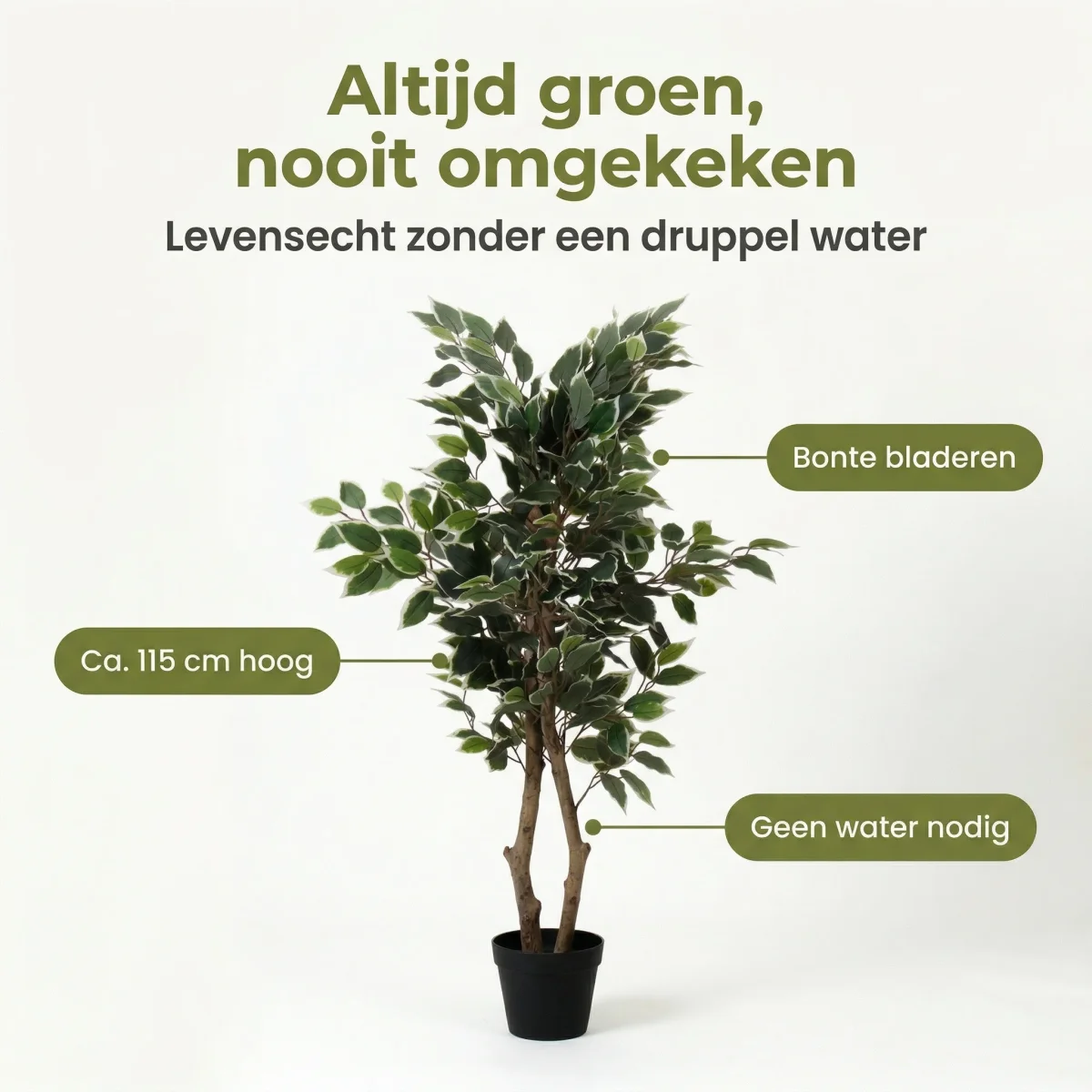 Cheqo® Kunstplant Ficus - Ficus Benjamina - Nepplant - Kunstboom - Treurvijg - Nep Ficus - Kunst Ficus - Kunstficusboom - voor Binnen - Sfeerplant - Decoratie - voor Woonkamer - Kantoorplant - Afbeelding 3