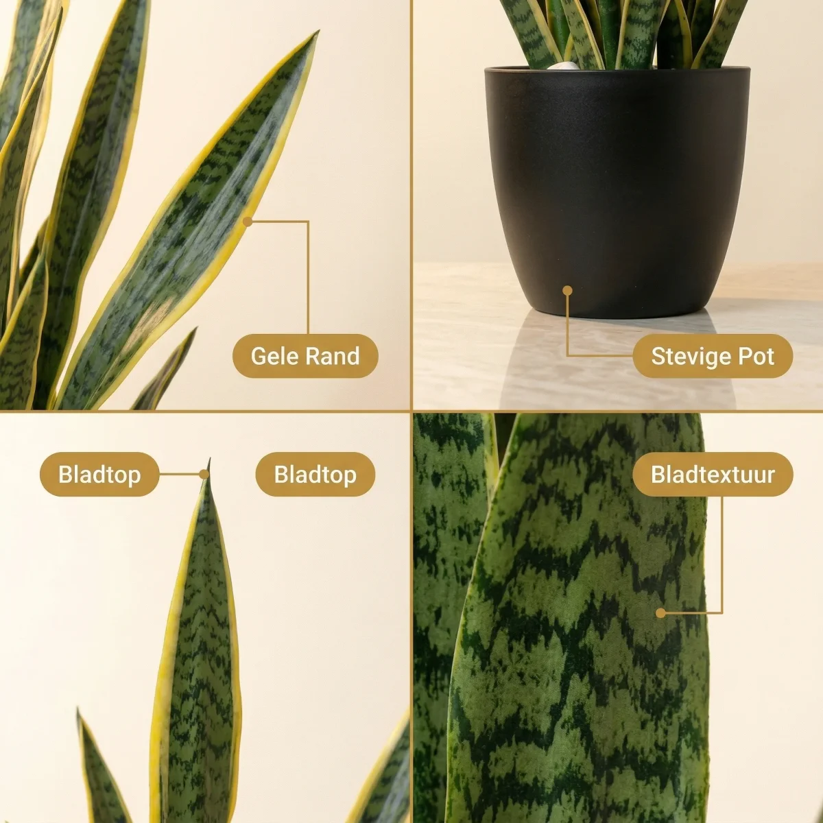 Cheqo® Kunstplant Sansevieria - Vrouwentong - Sanseveria - Nepplant - Nep Sansevieria - Kunst Vrouwentong - voor Binnen - Woestijnplant - Kamerplant - Decoratie - Kantoorplant - Sfeerplant - Afbeelding 4