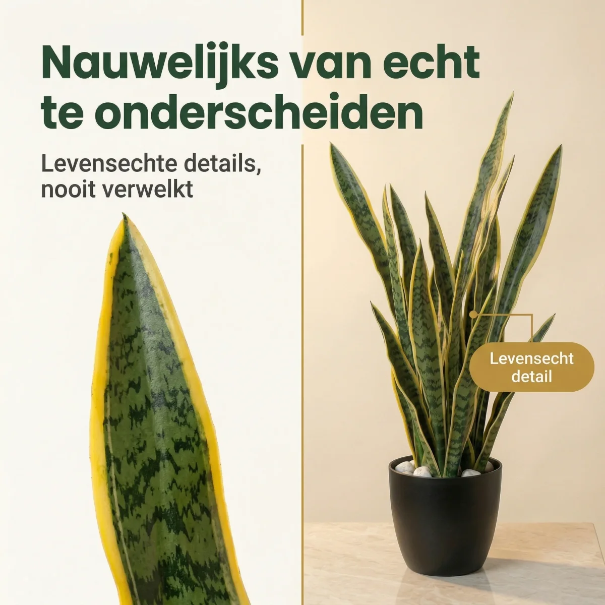 Cheqo® Kunstplant Sansevieria - Vrouwentong - Sanseveria - Nepplant - Nep Sansevieria - Kunst Vrouwentong - voor Binnen - Woestijnplant - Kamerplant - Decoratie - Kantoorplant - Sfeerplant - Afbeelding 7